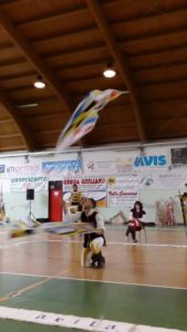 festa folli 2016 29