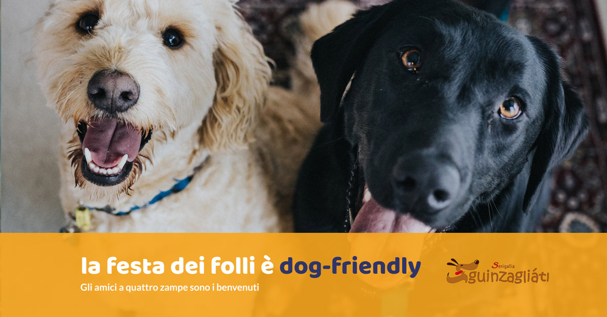 La Festa dei Folli è Dog Friendly